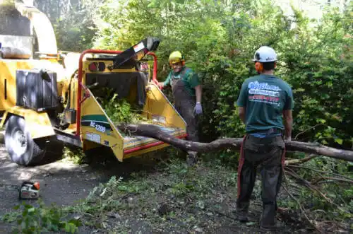 tree services Cherokee Village